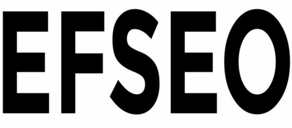 EFSEO Easy Frontend SEO Pro