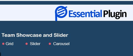 WP Team Showcase and Slider Pro �[by WpOnlineSupport]