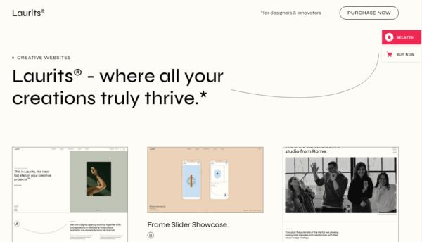 Laurits Portfolio & Agency WordPress Theme